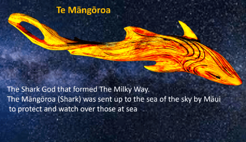 TIAKI”, OUR VALUES