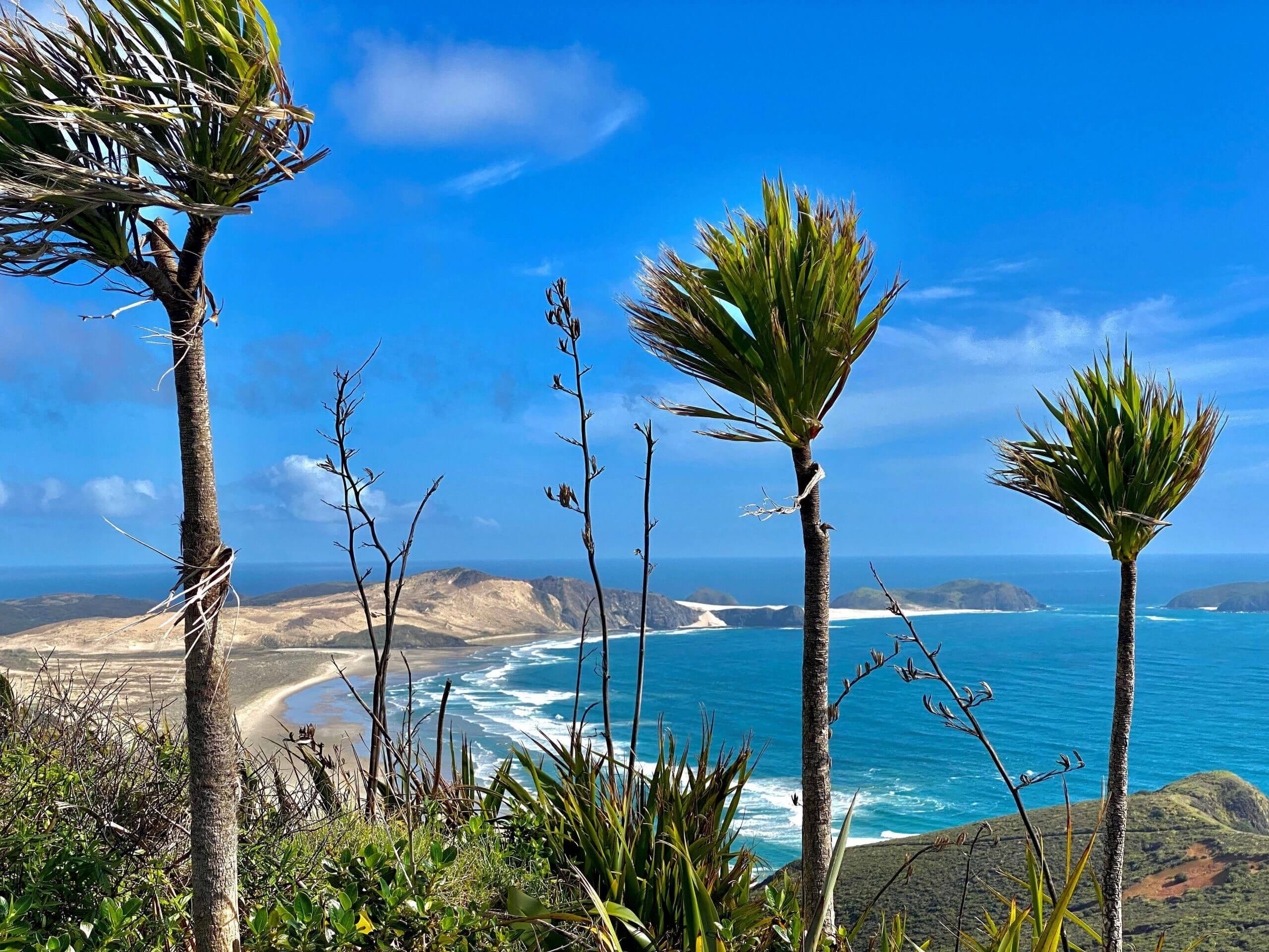Wild beautiful scenery Cape Rianga