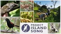 Sail Sunkiss - Project Island Song Award