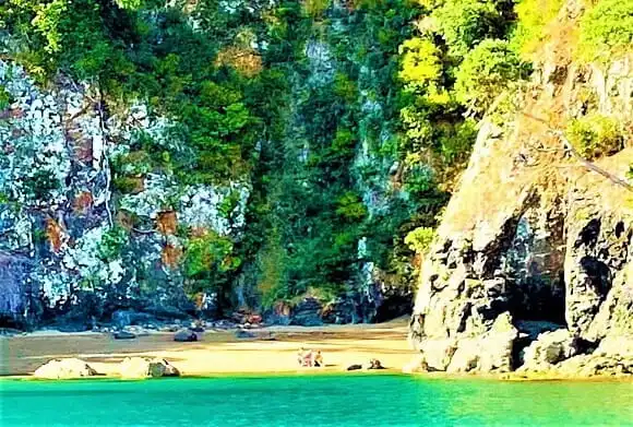 sailing bay of islands island hopper lunch cruise